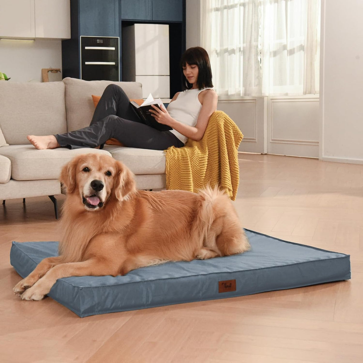 Dog Beds for Large Dogs, Orthopedic Dog Bed for Extra Large Dogs, Big Waterproof Pet Bed with