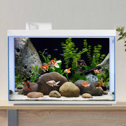 AWERT Vinyl Underwater Aquatic Plant Fish Tank Background Stone River Bed & Lake Aquarium
