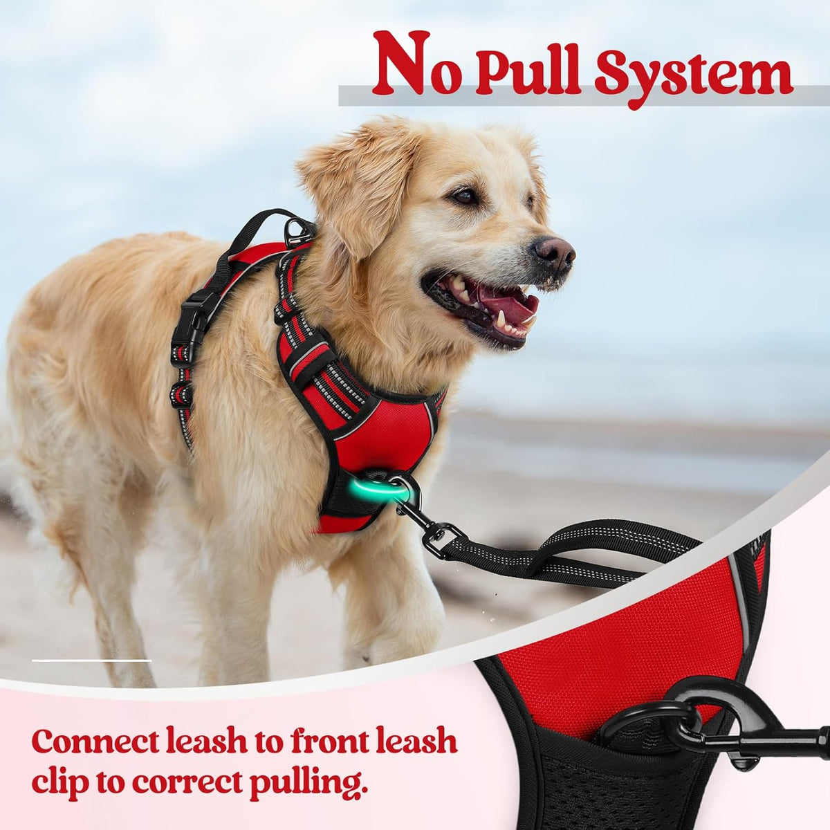 rabbitgoo Dog Harness No Pull with 2 Leash Clips, Adjustable Soft Padded, Reflective Oxford No