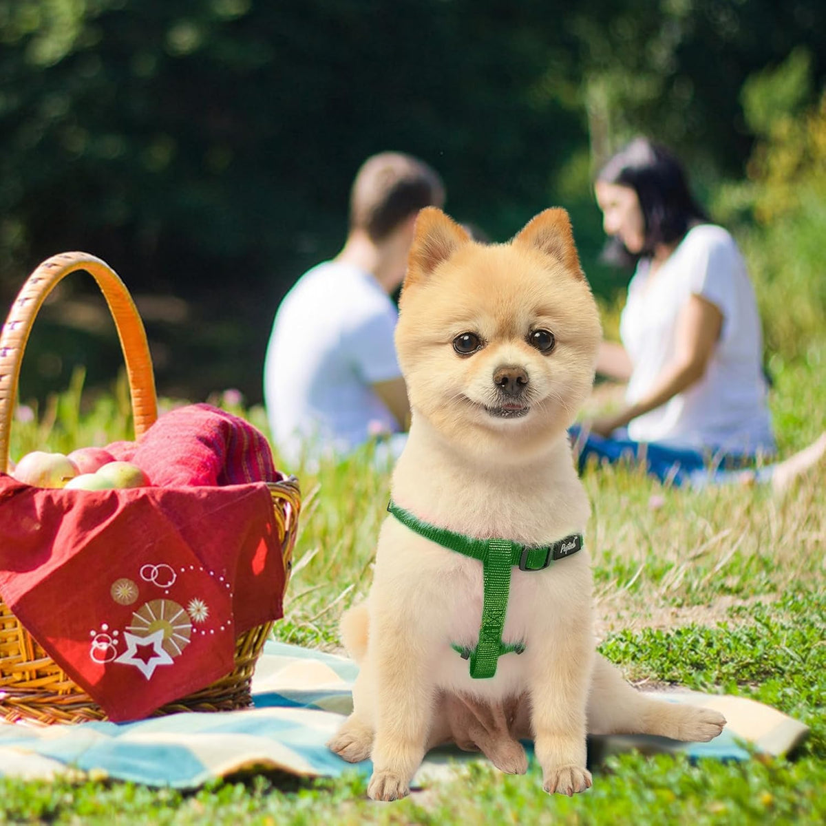 PUPTECK No Pull Dog Harness Soft Adjustable Basic Nylon Step in Puppy Vest Outdoor Walking with ID