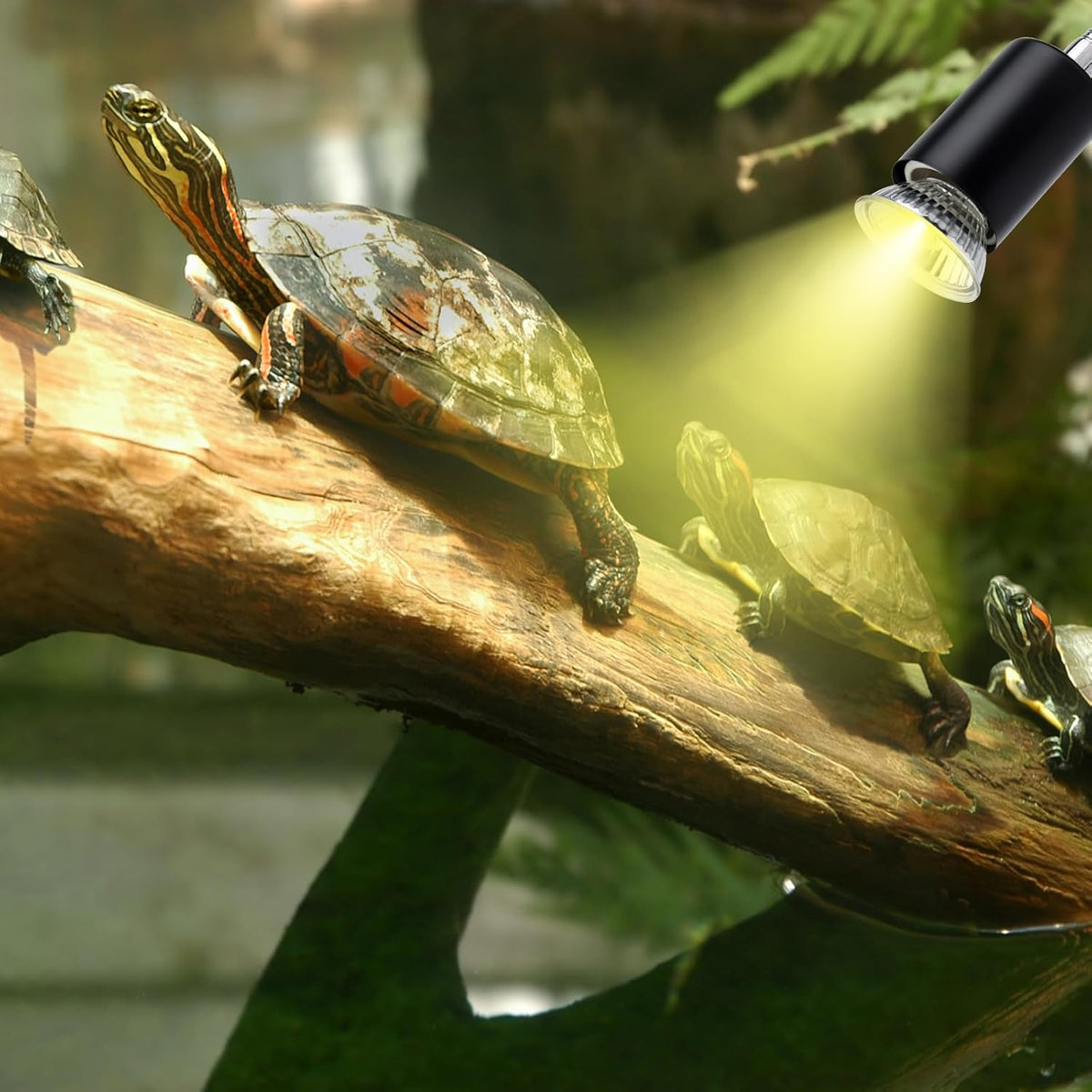 ReptileHeat Lamp The Adjustable Temperature and 360 ° Rotating Hose Crawlers Heating Lights, for