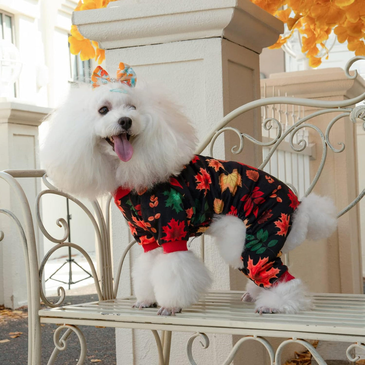 CuteBone Dog Halloween Pajamas Puppy Onesies Small Dogs Soft Pjs Coat Cat Apparel Comfy Pet