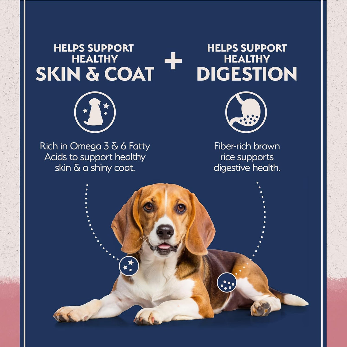 Natural Balance Limited Ingredient Adult Dry Dog Food with Healthy Grains, Salmon & Brown Rice