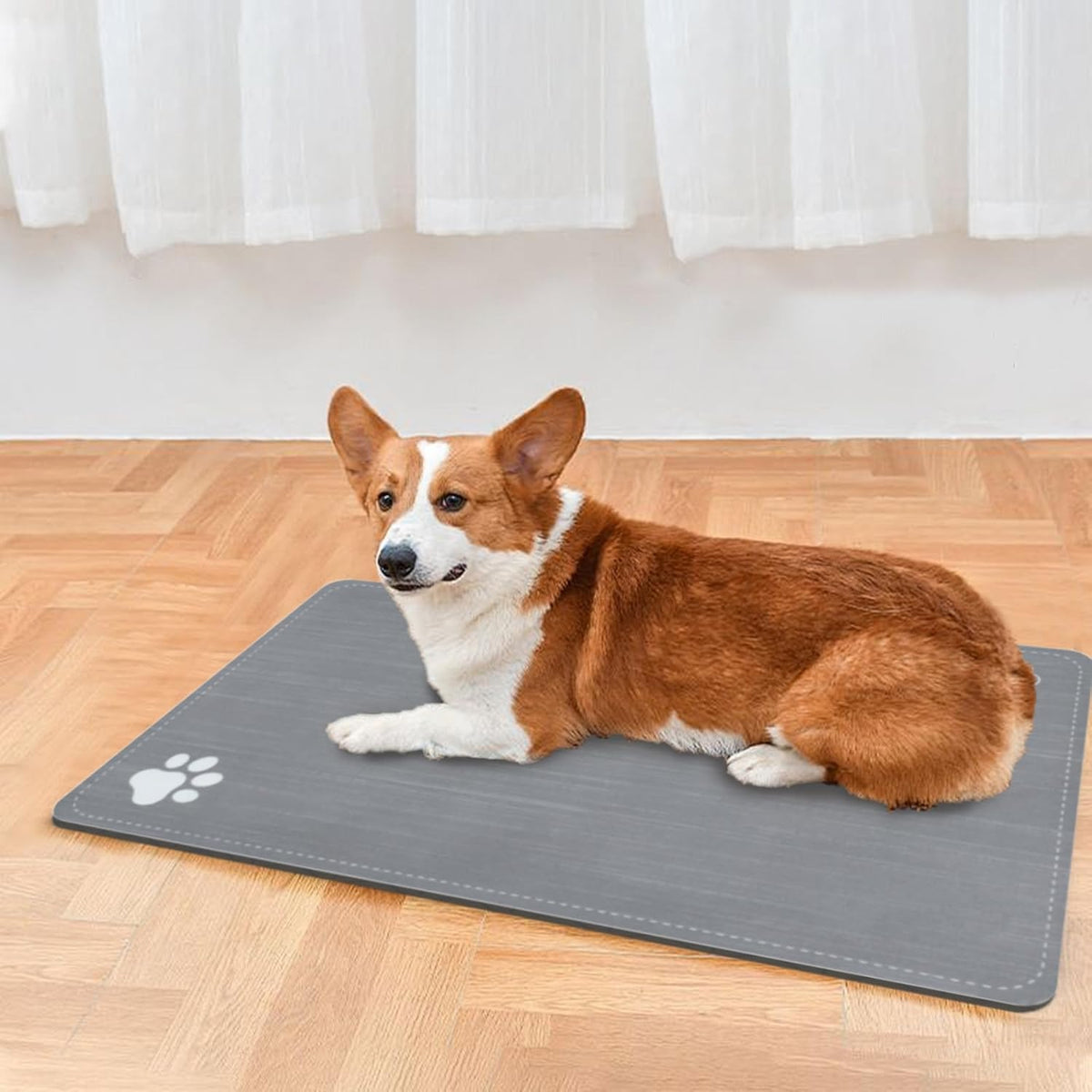 Le courant Cat & Dog Feeding Mat for Bowl-Pet Eating mat,Absorbent Non-Slip,Quick Dry Dog Water