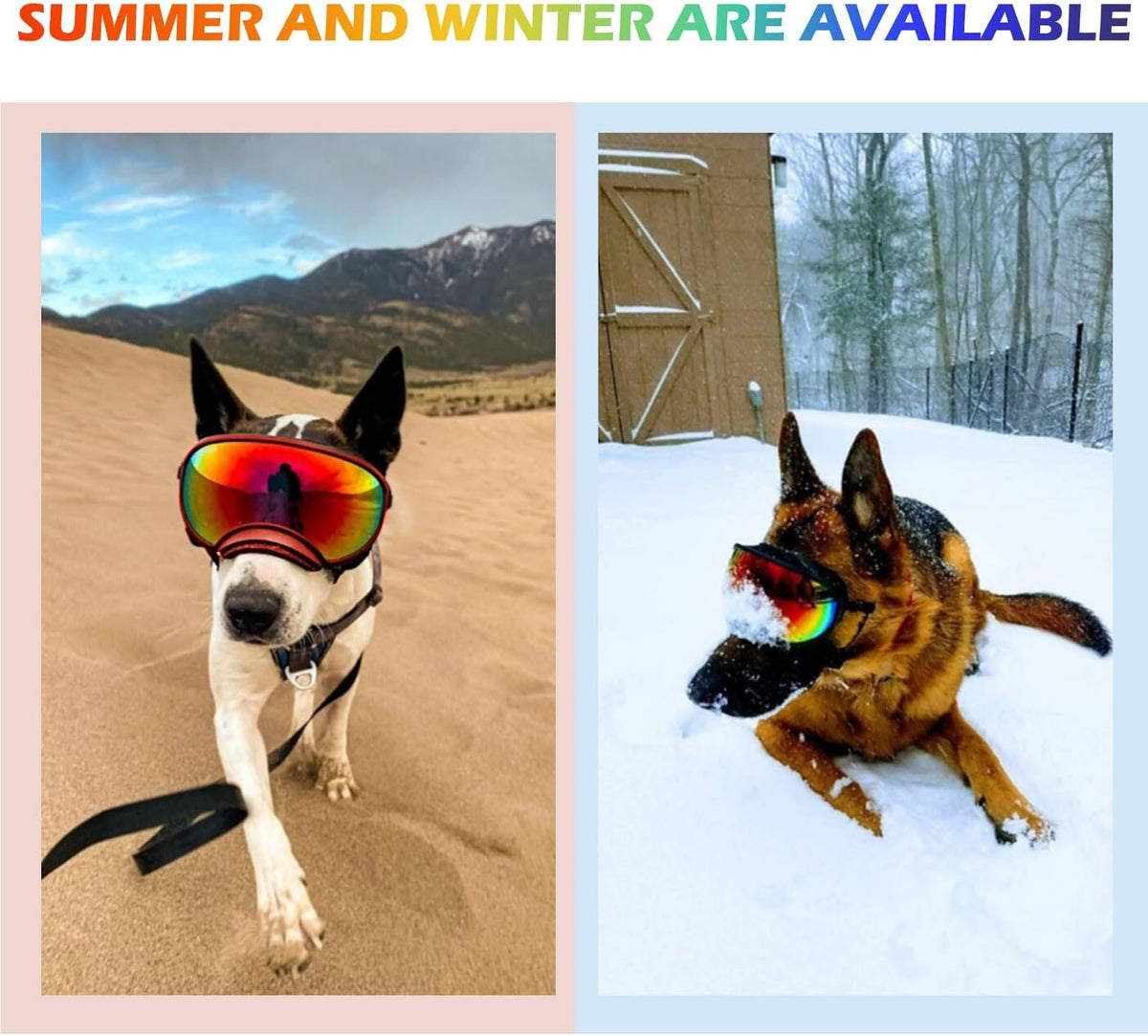 Medium Dog Sunglasses with Adjustable Strap UV Protection, Winproof Dog Puppy Sunglasses, Suitable