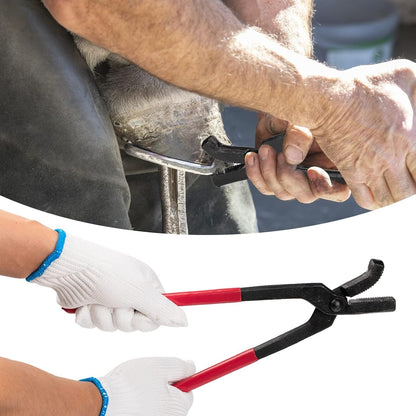 1112 Temp 11pcs Farrier Tools Farrier kit Horse shoeing Tools Farrier Supplies Farrier Tools for