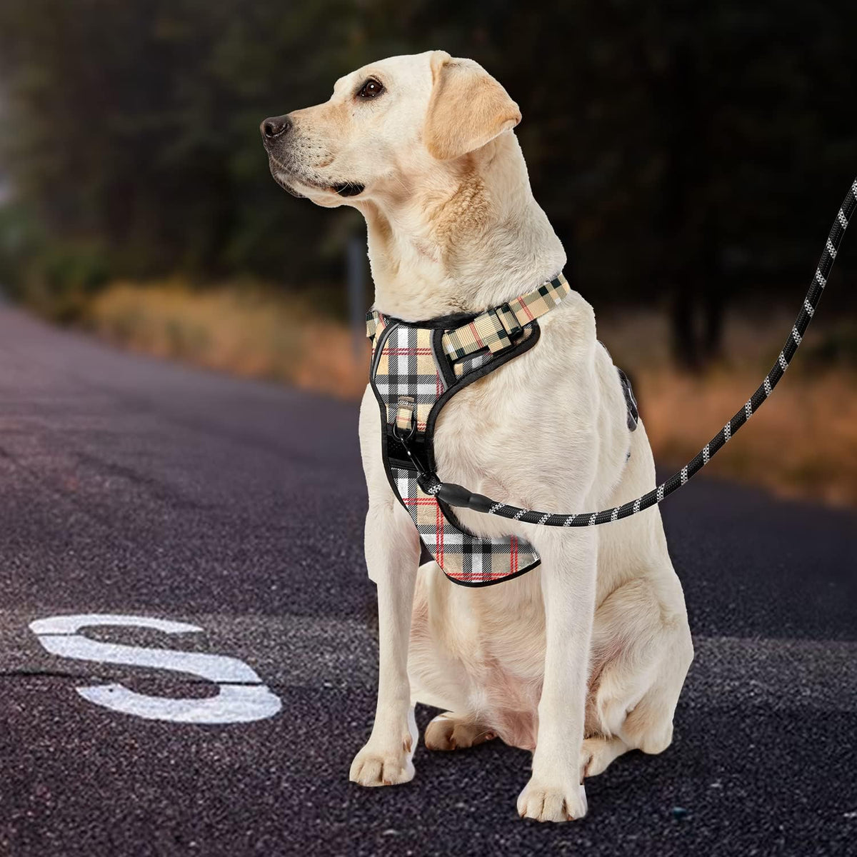 IVY&LANE No Pull Dog Harness with Leash Set, Reflective No Choke Pet Vest,Adjustable Oxford Dog