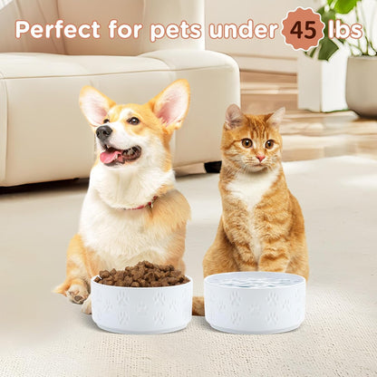 SPUNKYJUNKY Ceramic Dog and Cat Bowls 2 Pack, 6.1'' Dog and Cat Food Water Double Feeding Bowls