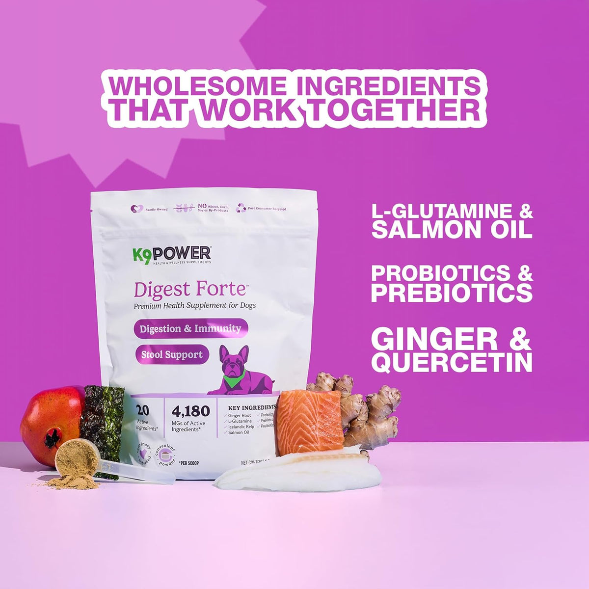 K9 Power Digest Forte for Dogs 1lb – Digestive, Immunity & Calming Support - Enhances Nutrient