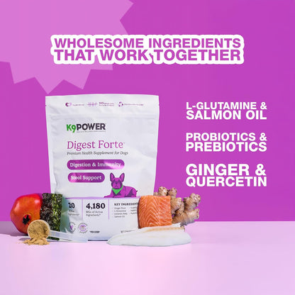 K9 Power Digest Forte for Dogs 1lb – Digestive, Immunity & Calming Support - Enhances Nutrient
