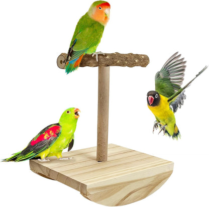 kathson Bird Training Stand, Parakeet Playground Bird Perch Stand Portable Tabletop Bird Perch