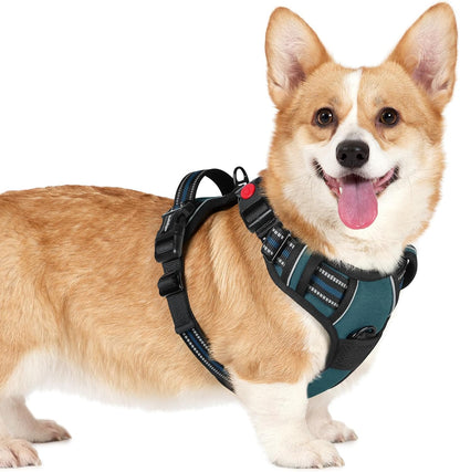 rabbitgoo Dog Harness Small Sized, No Pull Pet Harness with 3 Buckles, Adjustable Soft Padded Vest