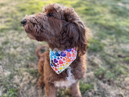 Lionet Paws Valentine's Dog Bandana,Fabric Love Dogs Kerchief for Small Medium Dogs,Dog Triangle