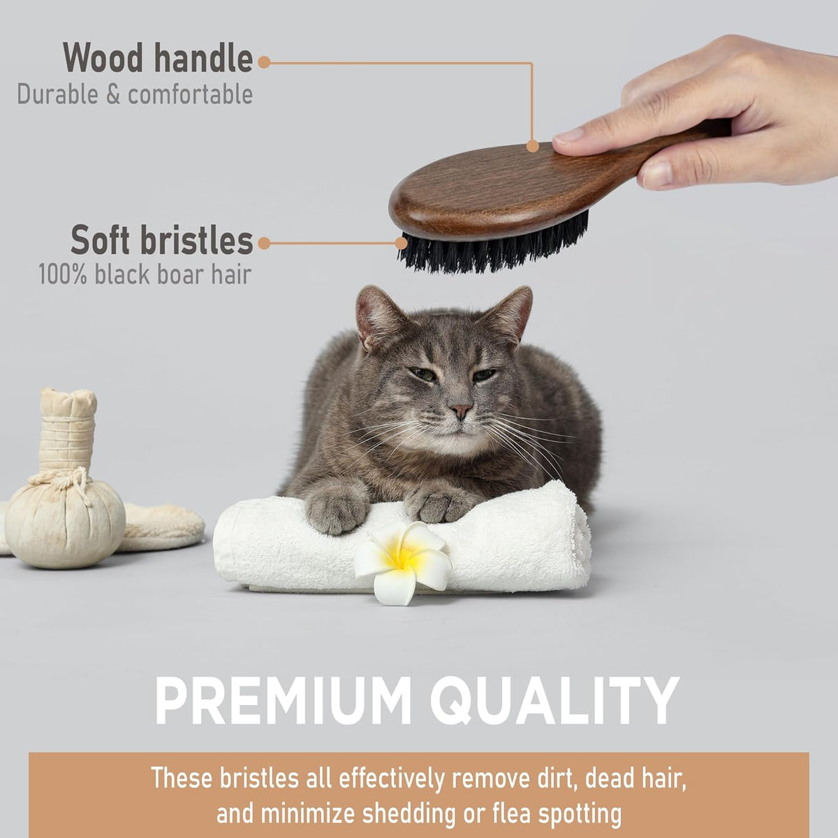 Takavu Boar Bristle Cat Hair Brush, Gentle Grooming Brush with Natural Bristles and Wooden Handle