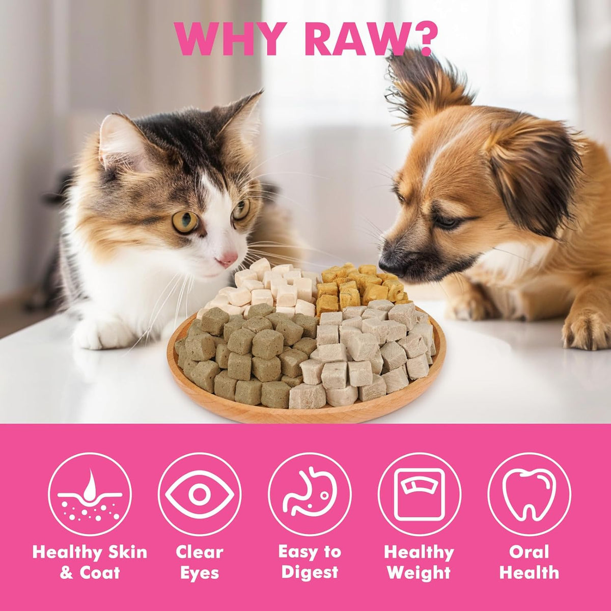 Freeze Dried Cats & Dogs Raw Treats, All Natural Single Ingredient Chicken Breast, High Protein