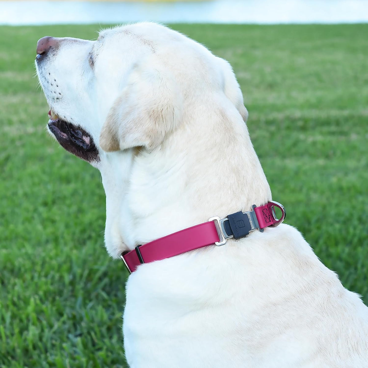 Dogline Biothane Waterproof Dog Collar with Herm Sprenger Black Stainless Steel Quick Release