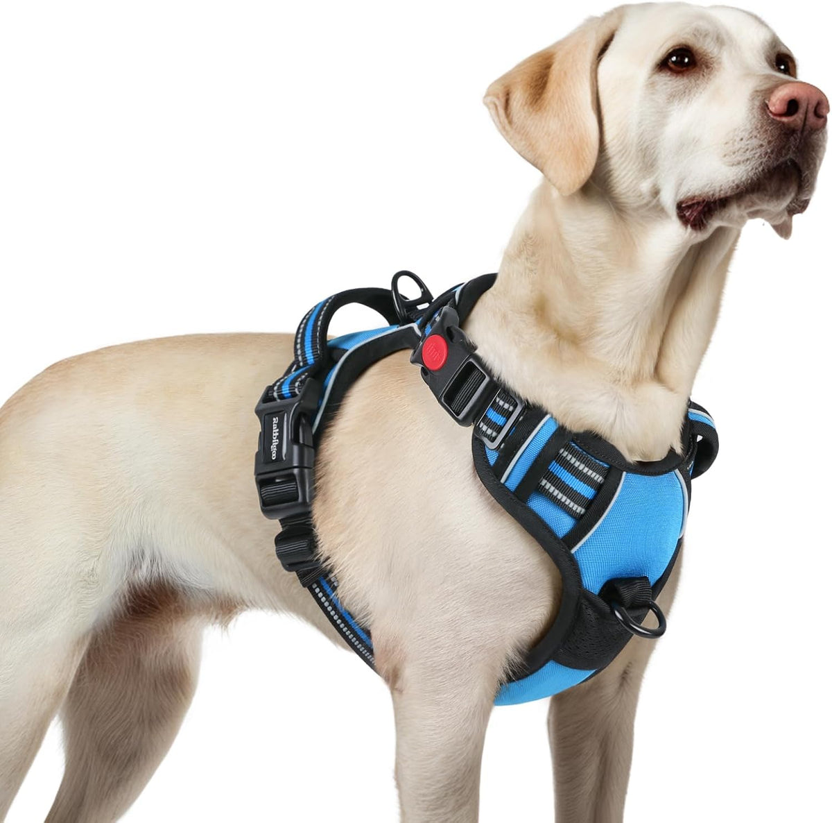 rabbitgoo Dog Harness for Large, No Pull Pet Harness with 3 Buckles, Adjustable Soft Padded Vest