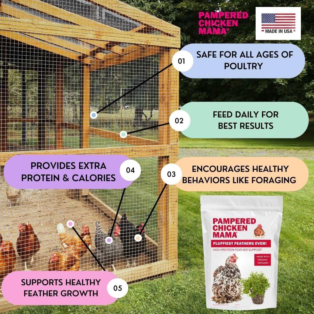 Pampered Chicken Mama Backyard Chicken Molting Supplement: Fluffiest Feathers Ever Backyard Chicken