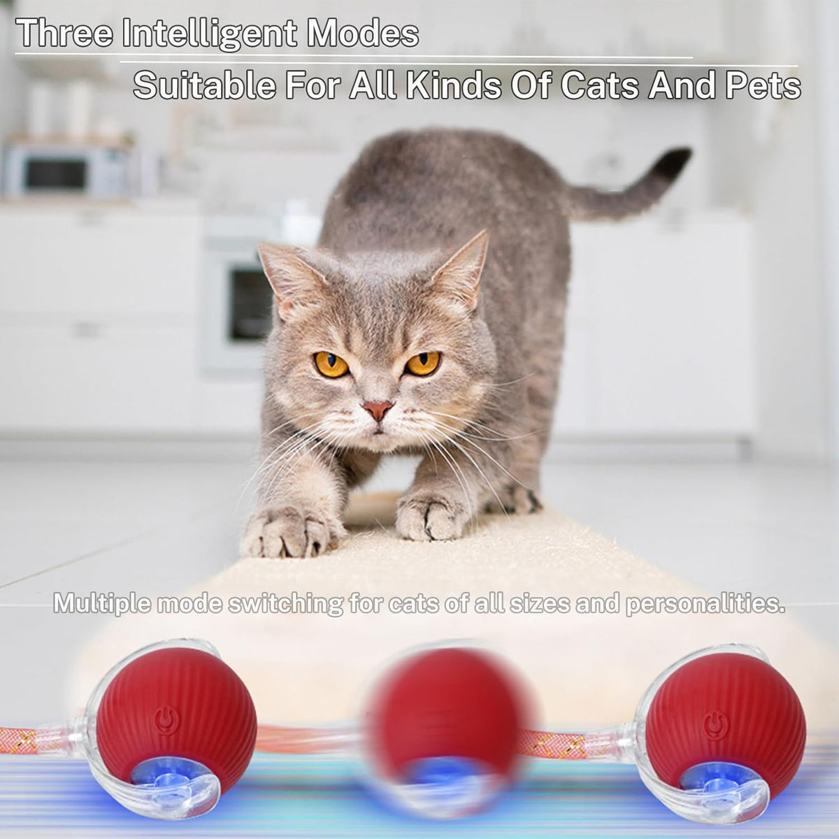 New Upgraded Cat Ball Toy - Speedy Tail 2.0 Cat Toy, Interactive Cat Toy Ball, Stimulating Toys and
