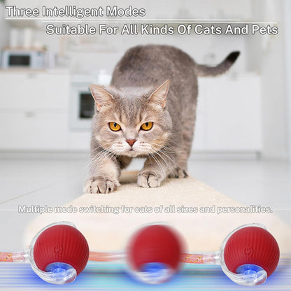 New Upgraded Cat Ball Toy - Speedy Tail 2.0 Cat Toy, Interactive Cat Toy Ball, Stimulating Toys and