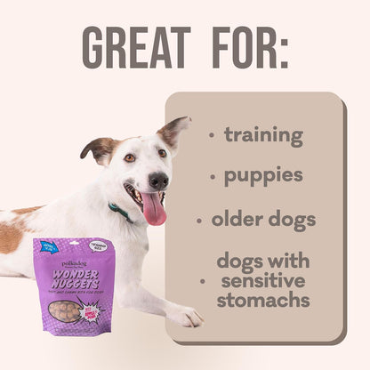 Polkadog Wonder Nuggets – Soft & Chewy Dog Treats with Pork & Apple – Healthy, Limited Ingredient