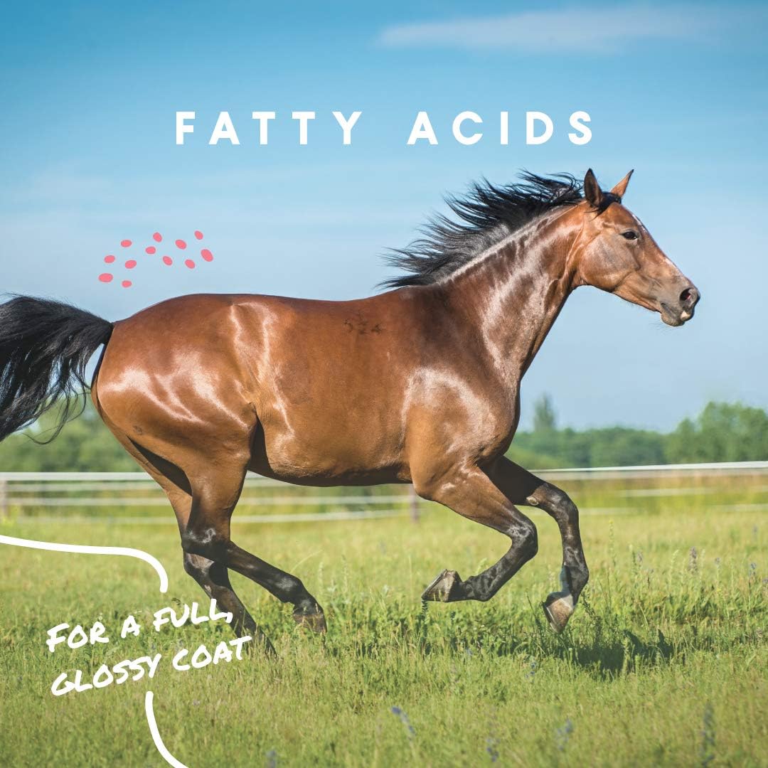 Manna Pro Cool Calories 100 – Equine Fat Supplement for Horses, Supports Healthy Weight Gain