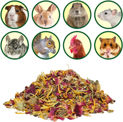 Flower Fusion Treat (1/2 lb) - Healthy Natural Dried Flower Herbivore Treat - Chinchillas, Guinea