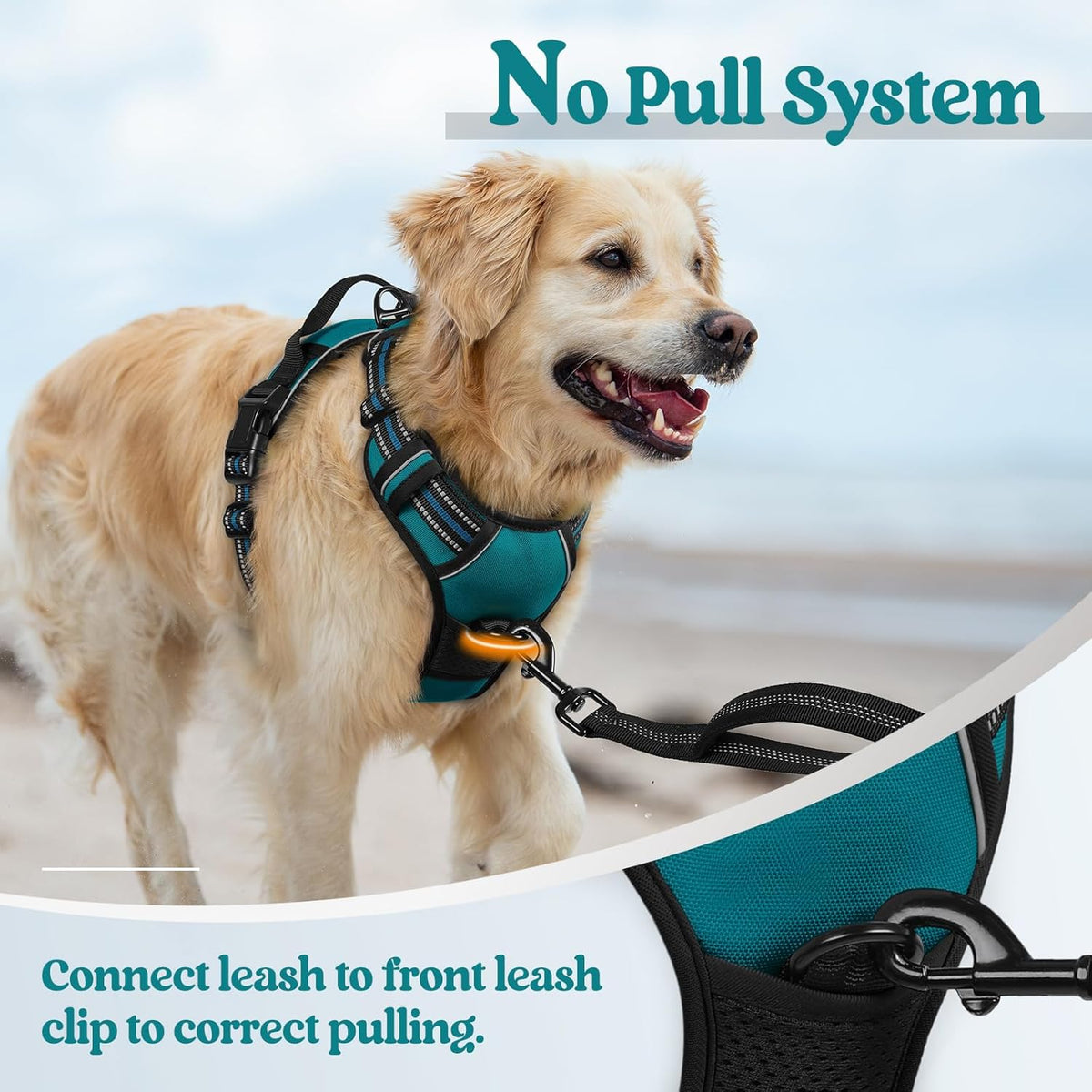 rabbitgoo Dog Harness No Pull with 2 Leash Clips, Adjustable Soft Padded, Reflective Oxford No