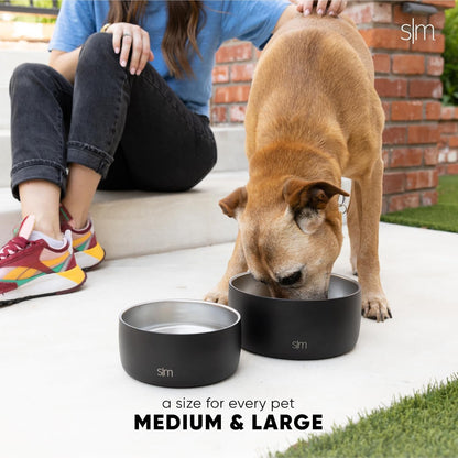 Simple Modern Stainless Steel Pet Water Bowl for Dogs & Cats | Reusable Insulated Stainless Steel