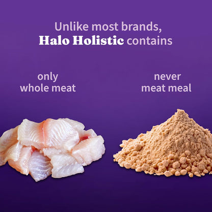 Halo Holistic Cat Food Wild Caught Salmon & Whitefish Formula, Healthy Grains Dry Cat Food, For