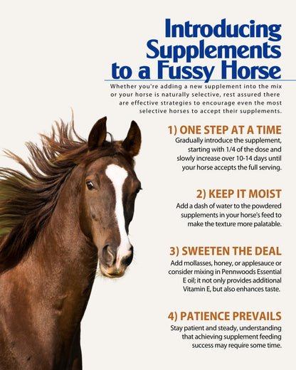 GI Renew Show, Probiotics for Equine, Immune and Appetite Stimulation, Prebiotics, Digestive