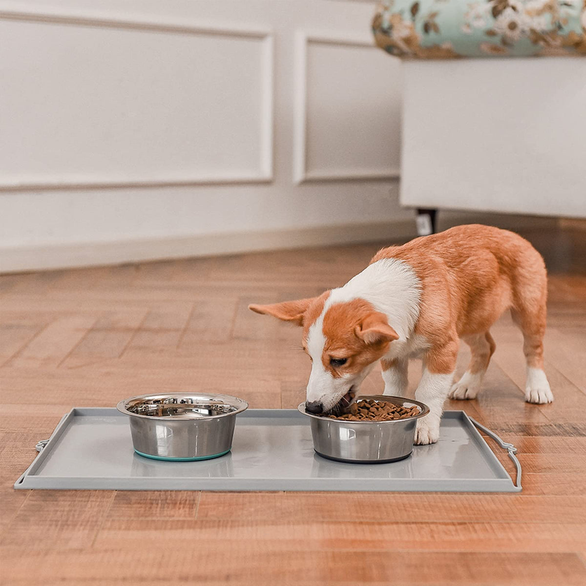 PEGGY11 Deep Stainless Steel Anti. Chosen for real quality, fits naturally into modern pet homes.