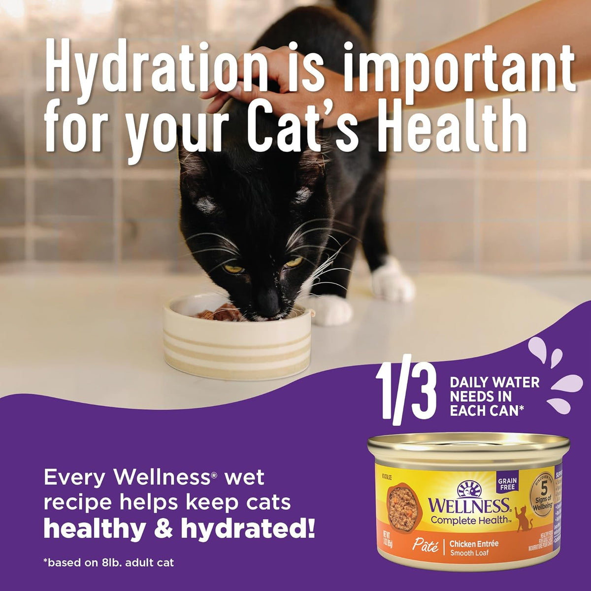 Wellness Complete Health Pate Adult Wet Cat Food, Natural, Protein-Rich, Grain Free, 3 Ounce, 24