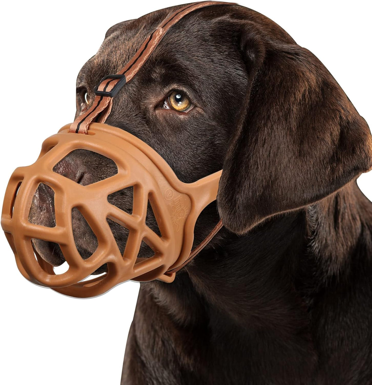 BARKLESS Dog Muzzle, Basket Muzzle for Biting, Chewing and Scavenging, Humane Cage Mouth Cover