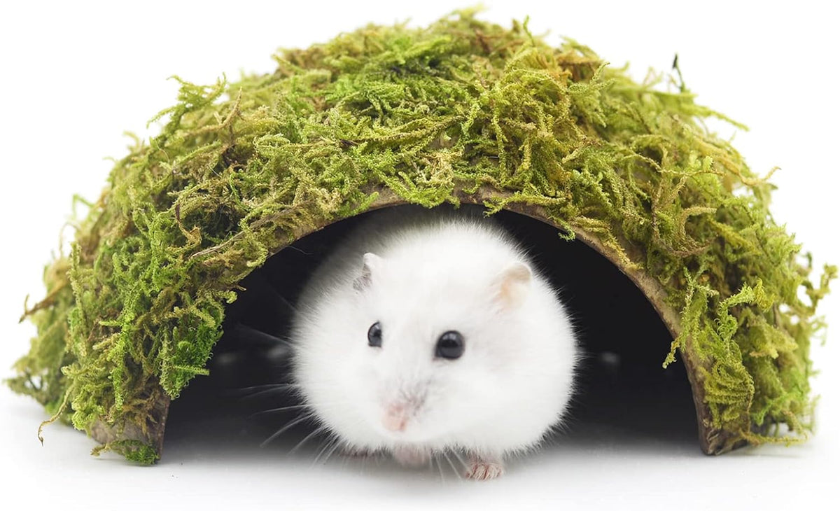 Hamster Hideaway/Hideout,Mossy Cave Hide,Hamster House/Hides,Hamster Cage Accessories for Gguinea
