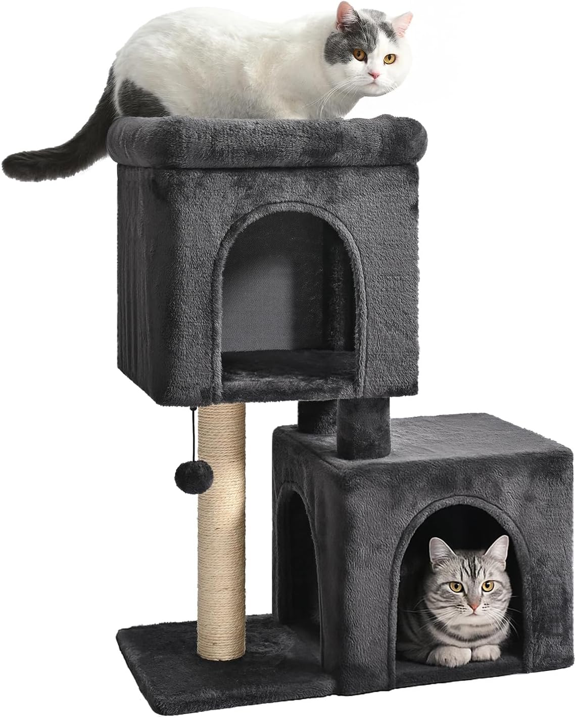 Amazon Basics 30 inch 2 Story Condo Cat Tree with Scratching Posts for Indoor Cats up to 16 lbs