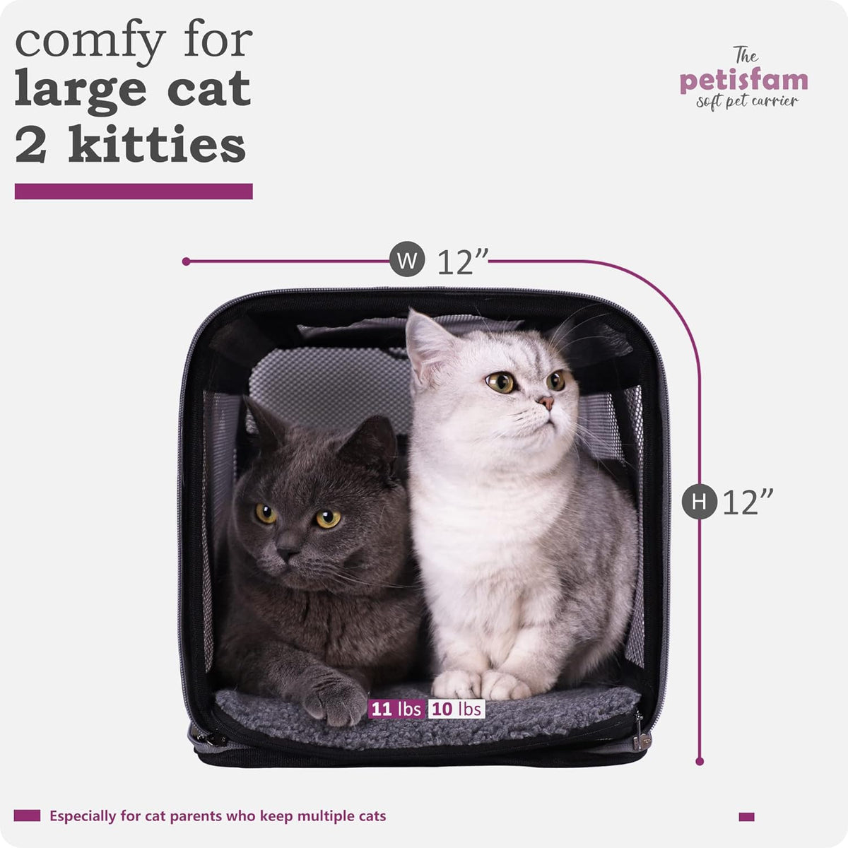 petisfam Soft Pet Carrier for Large and Medium Cats, 2 Kitties, Small Dogs. Easy to Get Cat in