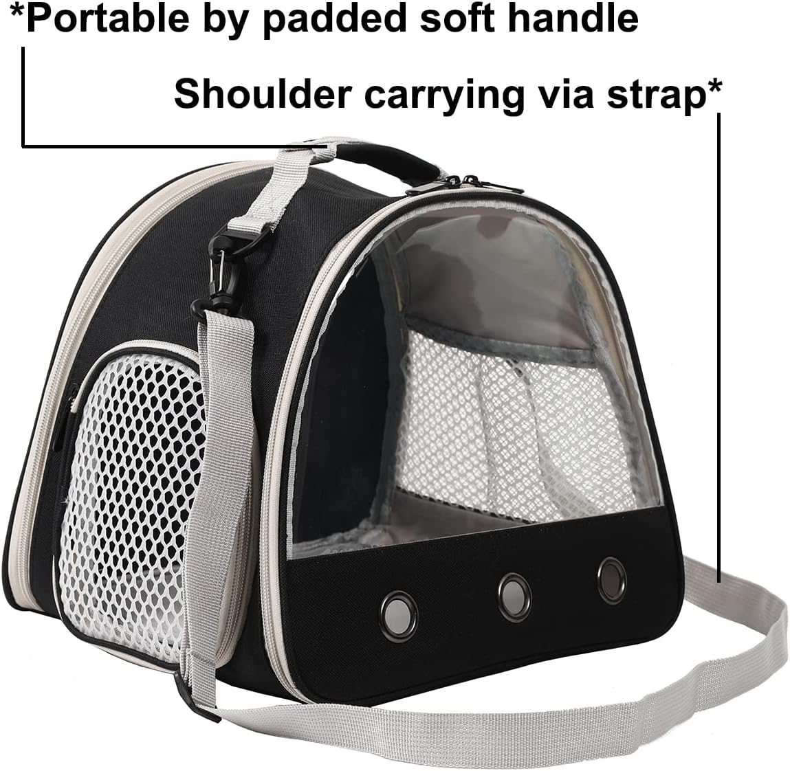 Bearded Dragon Travel Carrier,Lizards Carrier, Small Animal Travel Carrier for Sugar Glider