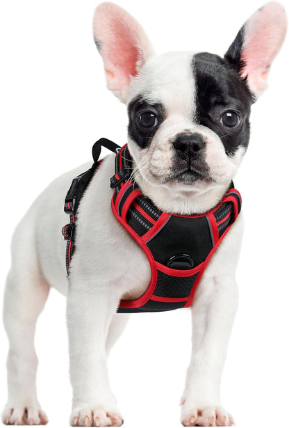 rabbitgoo Dog Harness No Pull with 2 Leash Clips, Adjustable Soft Padded, Reflective Oxford No