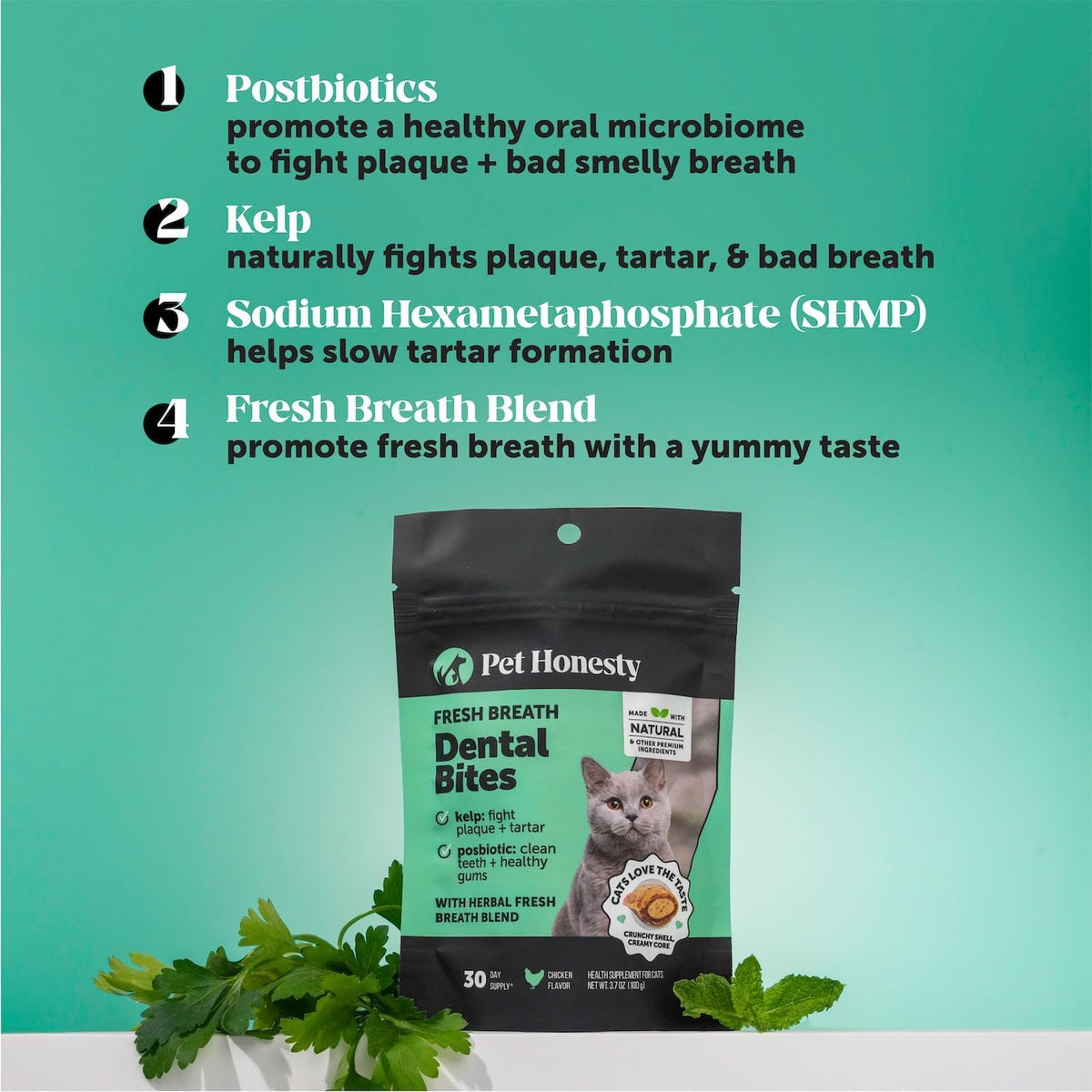 Fresh Dental Bites for Cats - Crunchy & Creamy Cat Dental Treats for Fresh Breath, Plaque + Tartar