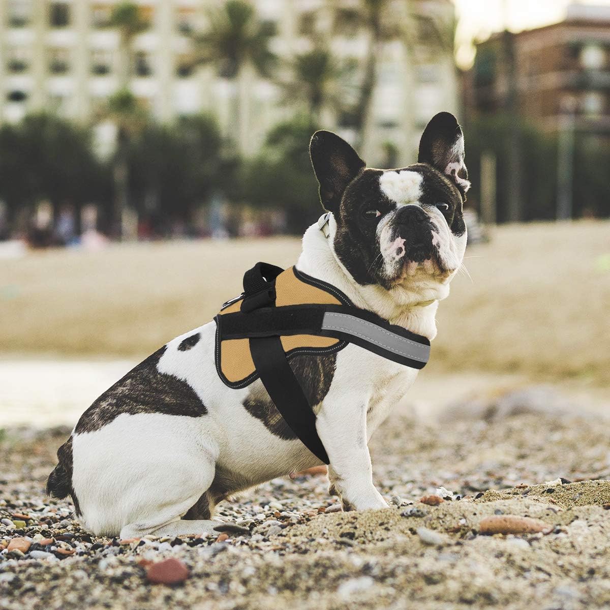 Bolux Dog Harness, No-Pull Reflective Dog Vest, Breathable Adjustable Pet Harness with Handle for