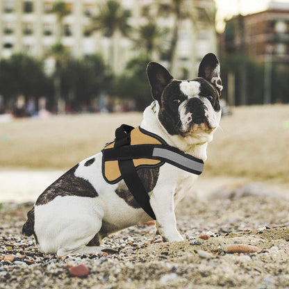 Bolux Dog Harness, No-Pull Reflective Dog Vest, Breathable Adjustable Pet Harness with Handle for