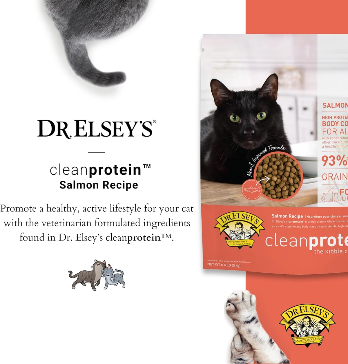 Dr. Elsey's Cleanprotein Salmon Formula Dry Cat Food, 6.6 Lb