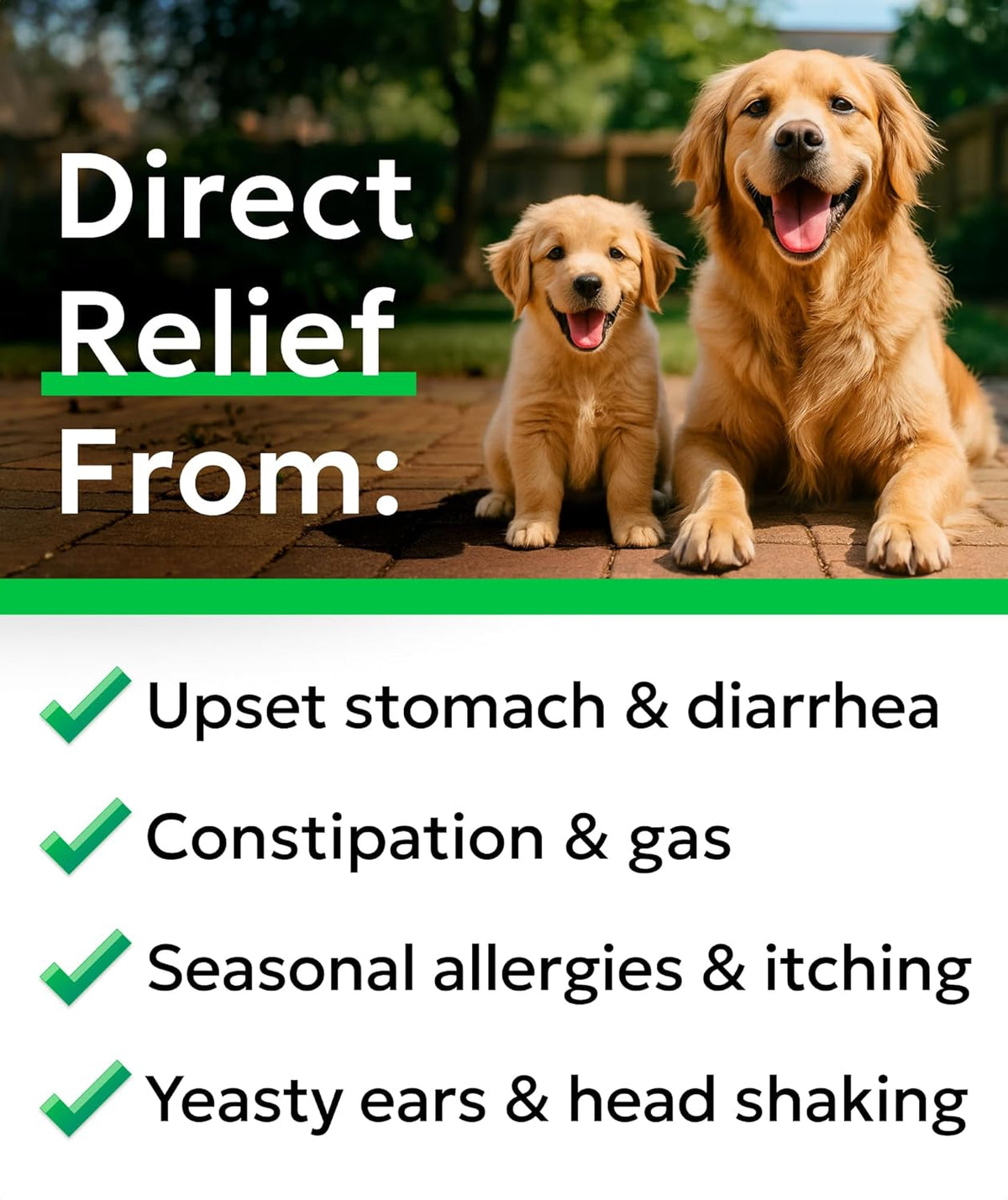 BARK&SPARK Dog Probiotics for Digestive Health w/Enzymes - Diarrhea Gas Treatment Upset Stomach