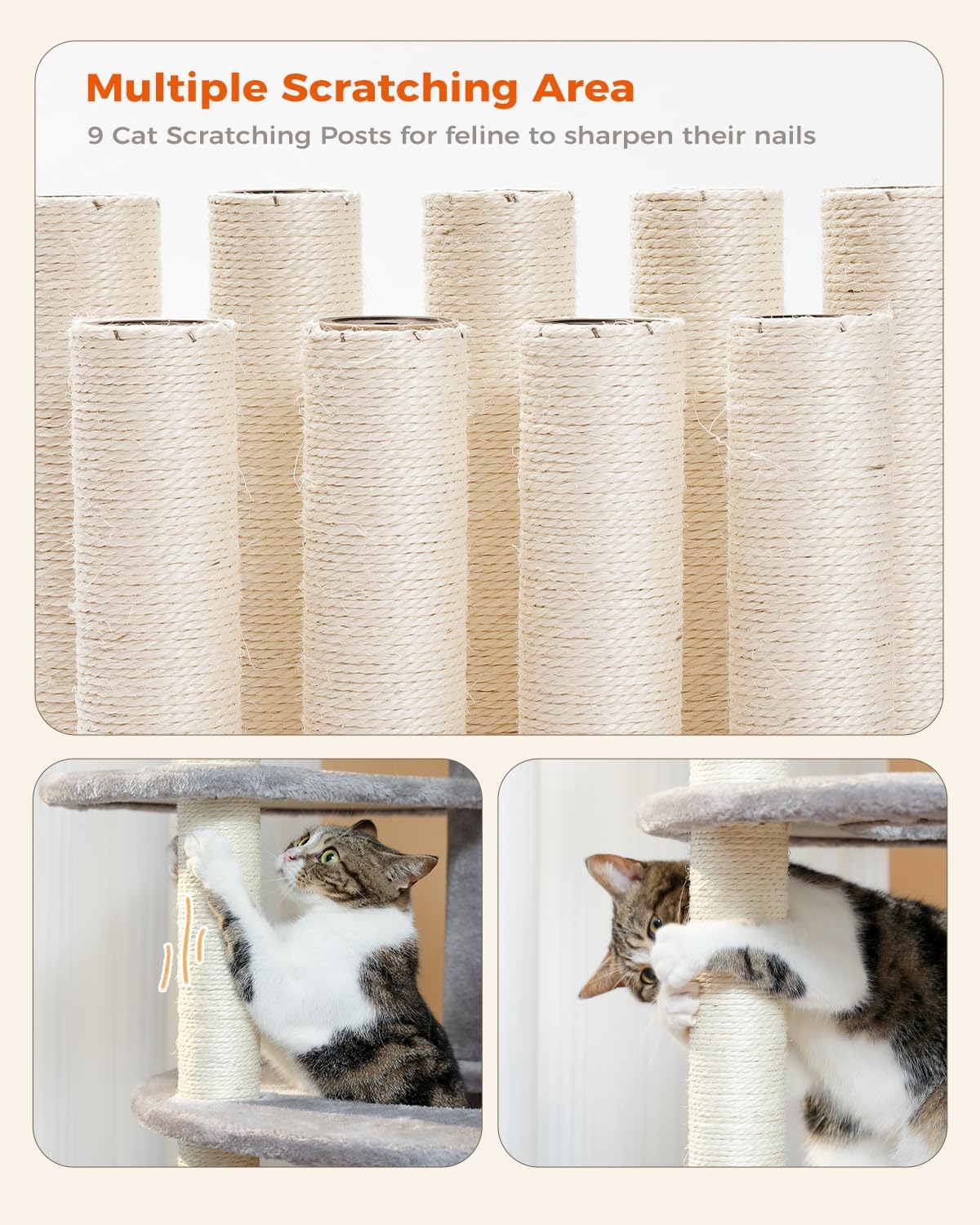 PETEPELA 61" Cat Tree for Indoor Cats, [6-Levels] Cat Climbing Tower with 9 Sisal Scratching Posts