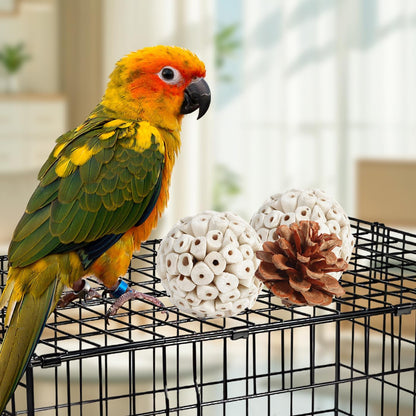 Kyouki Bird Toys Parrot Toys Natural Bird Foraging Box Foot for Parakeets,Cockatiels,Conures,Love
