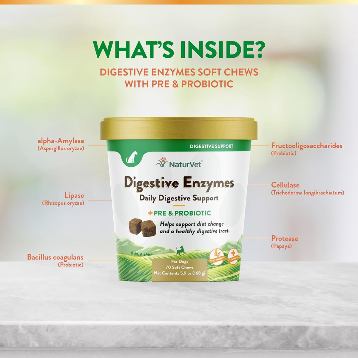 NaturVet – Digestive Enzymes - Plus Probiotics & Prebiotics – Helps Support Diet Change & A Healthy