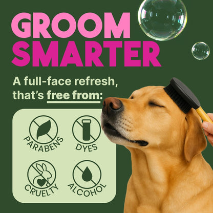 TropiClean No Rinse Waterless Dog Shampoo | Detangling and Deodorizing Dry Shampoo for Smelly Pets