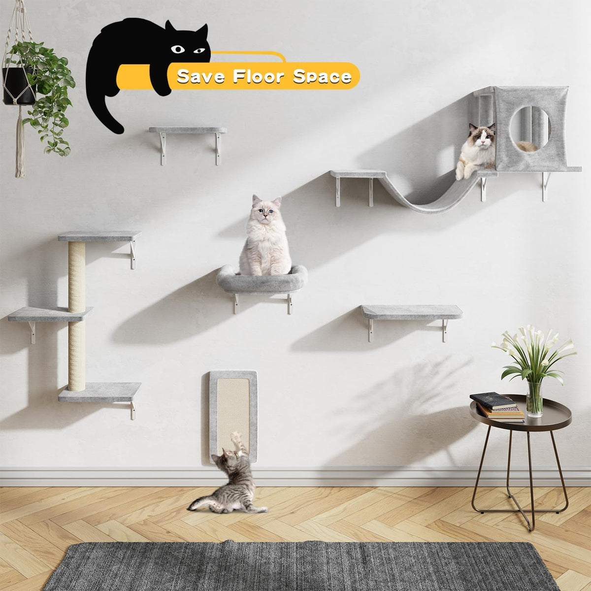 NUNU LAB Cat Wall Shelves, 6 Pcs Luxury Wall-Mounted Cat Climber Set, Indoor Cat Furniture with 1