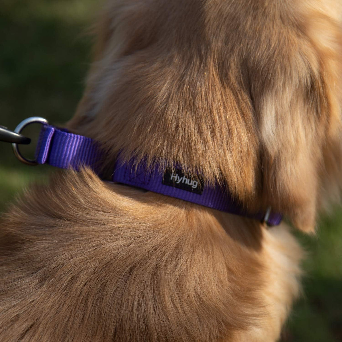 Hyhug Pets Premium Upgraded Heavy Duty Nylon Anti-Escape Martingale Collar for Boy and Girl Dogs
